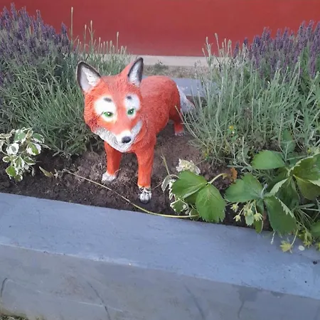 Apartment Fox *